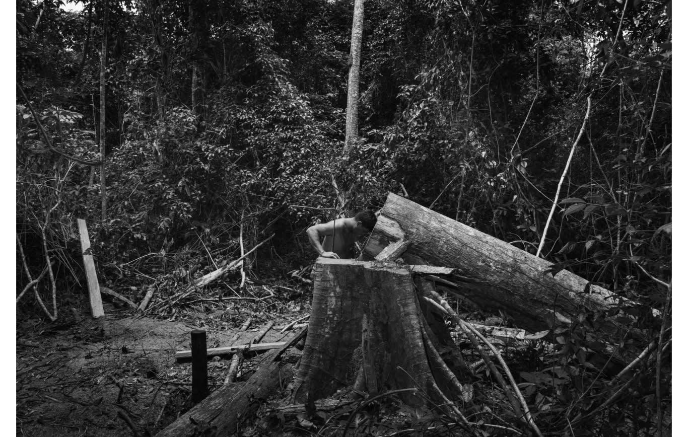 raribóia, Maranhão. A member of the Guajajara forest guard in a moment of sad silence at the sight of a toppled tree cut down by suspected illegal loggers © Tommaso Protti for Fondation Carmignac
